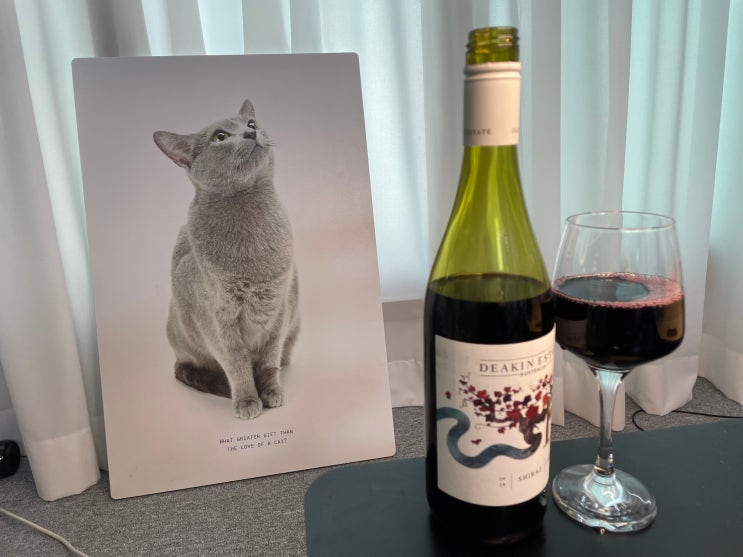  블랙체리 같은 느낌의 드라이 레드 와인 디킨 쉬라즈(Deakin Shiraz) 후기
