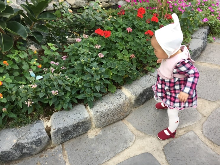  [아이와 대전여행] 대전 아기와 갈만한 곳 한밭수목원내 대전곤충생태관