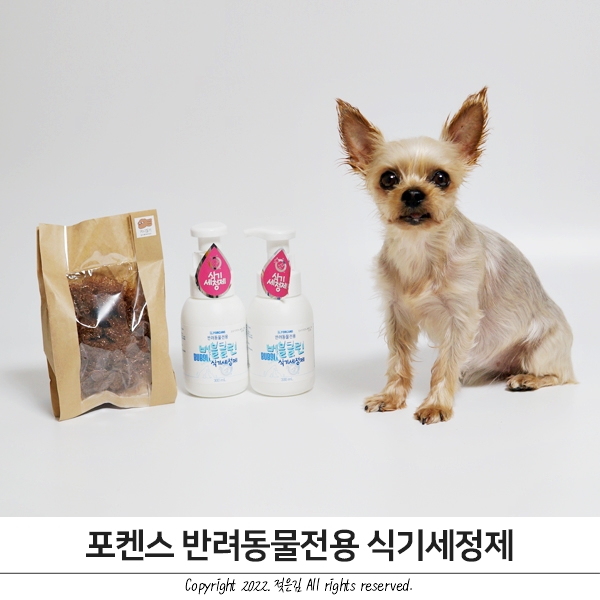 포켄스 강아지 식기세정제와 수세미로 닦기 포켄스 강아지 식기세정제와 수세미로 닦기