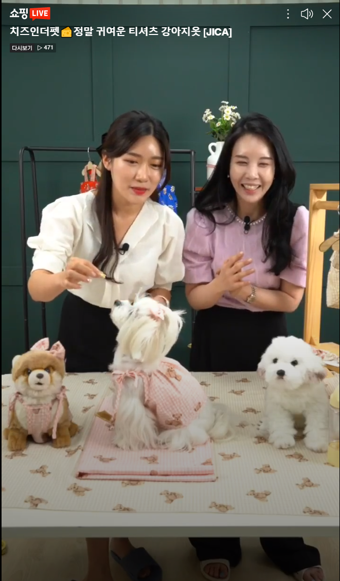 사진 3
