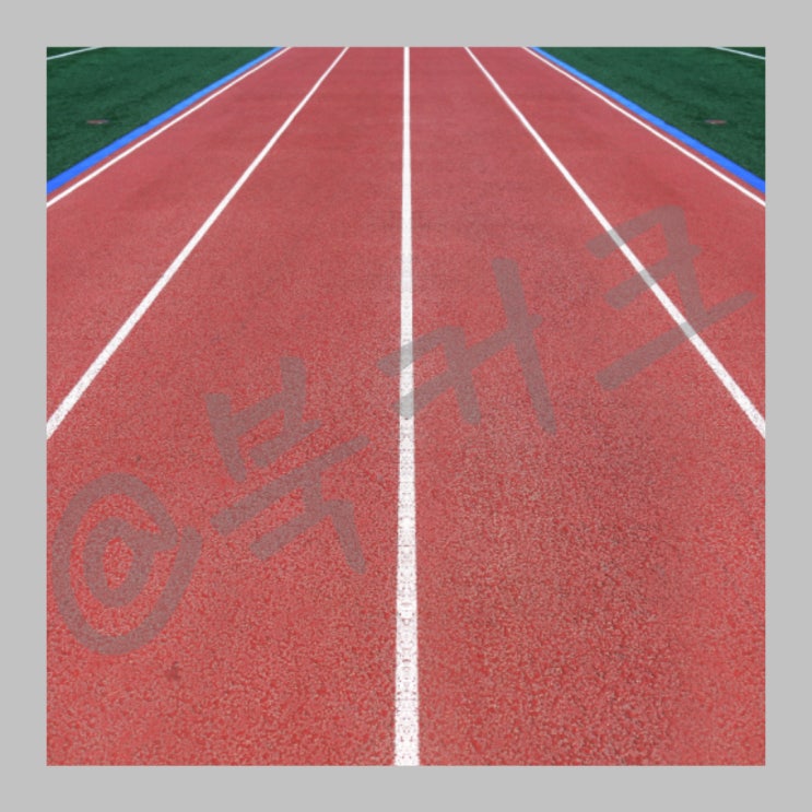 우상혁 <b>금메달</b> <b>세계</b>육상<b>선수권대회</b> 높이뛰기 가즈아 SBS 중계... 