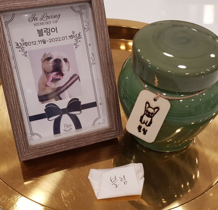  블링이와 우리가족이 이별한날. 20220715