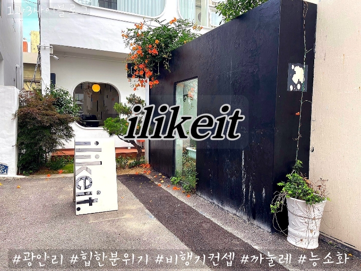 광안리 카페 추천 : 능소화가 이쁜 힙한 감성카페, ilikeit 일리카이트 광안리 카페 추천 : 능소화가 이쁜 힙한 감성카페, ilikeit 일리카이트