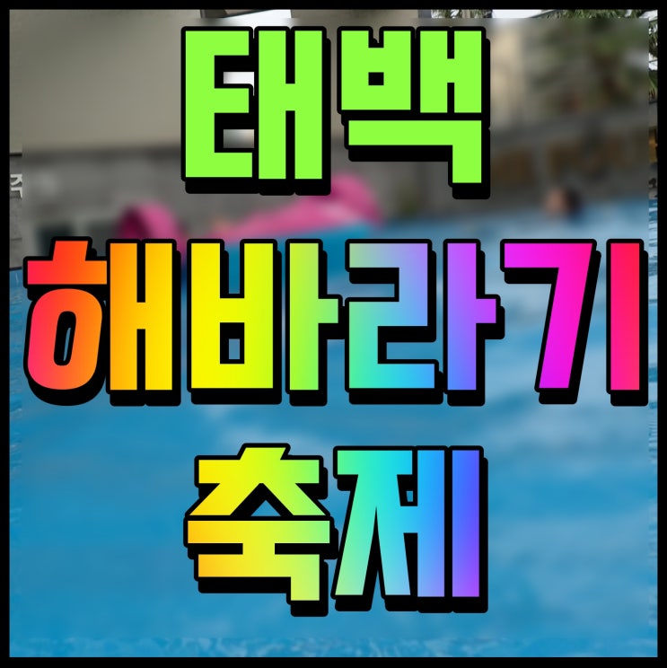  태백 해바라기축제 체험행사 먹거리까지 강원도 여름행사 정보 공유