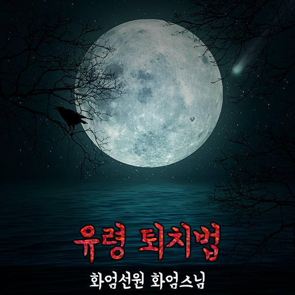 빙의해결 !! 퇴마스님 화엄스님, 영적장애 치유상담, 귀신퇴치 상담