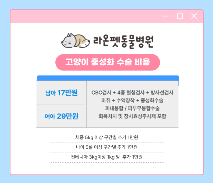 강동 송파 동물병원] 고양이 중성화 비용 할인받고 착한 금액으로! : 네이버 블로그
