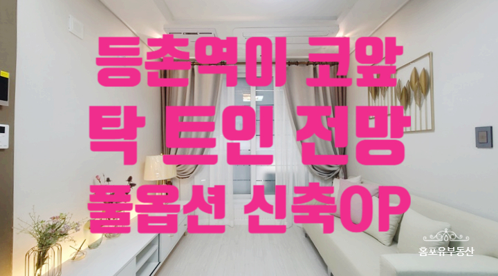  강서구 등촌동 초역세권 뷰맛집 메종드NK 분양 전세 잔여세대