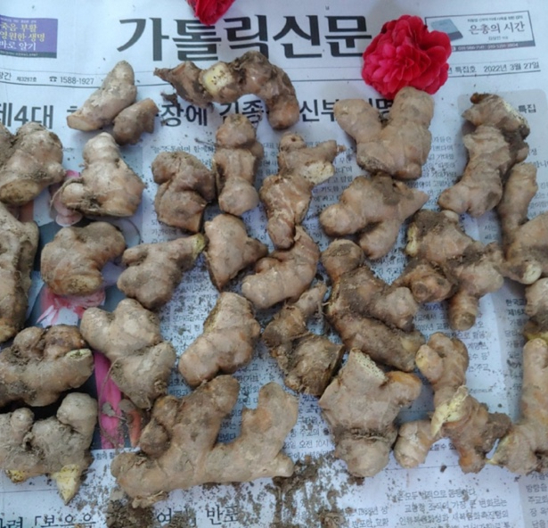 [해농텃밭] 4월 해농텃밭이야기_2022.4.21