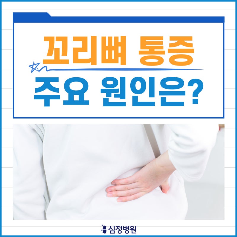 꼬리뼈 통증의 원인 예방법 척추 건강 지키기! 3