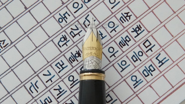  이 난감한 생명 이동 (ft. 워터맨 익셉션 N&D F닙 만년필 실제 사용 영상)