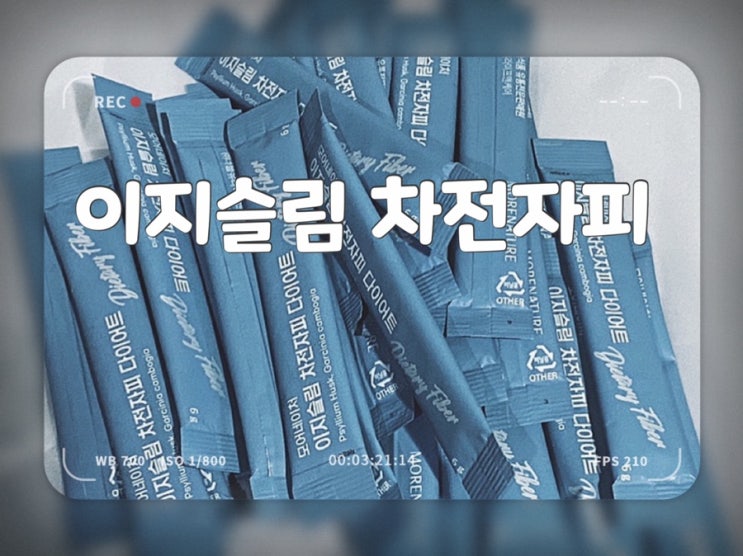  특유 냄새 없고 환으로 된 차전자피 다이어트 모어네이처