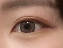 [하파 크리스틴] 시스루 크리스틴 애쉬브라운 원데이 내돈내산