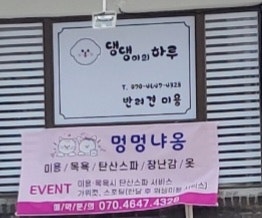 댕댕이의 하루