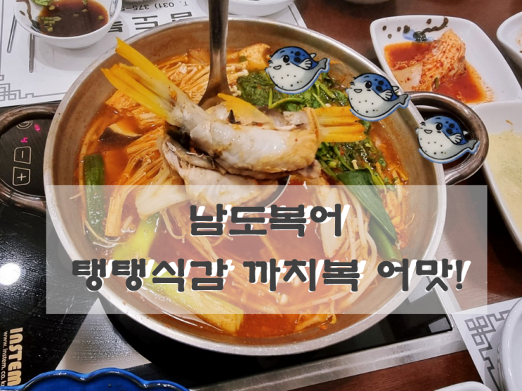  오산 남도복집 복날 보양은 복어 잘하는 집 까치복으로 삼복더위 뿌셔