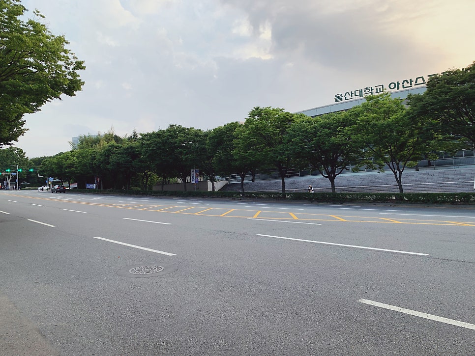써브웨이 울산무거점 사진 6