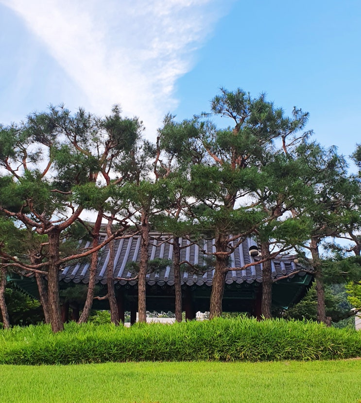 일곱 번째 주간일기 7월 셋째 주