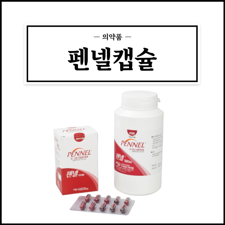 펜넬 캡슐, 효능효과/복용법/부작용/주의사항 등 간단정리