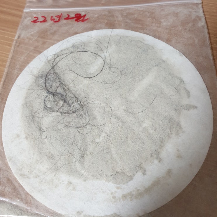  내돈내산~! 코웨이 공기청정기 5개월 후기 및 사용법 (렌탈), 원룸, 필터 관리, 4단계 조절, 에코 모드
