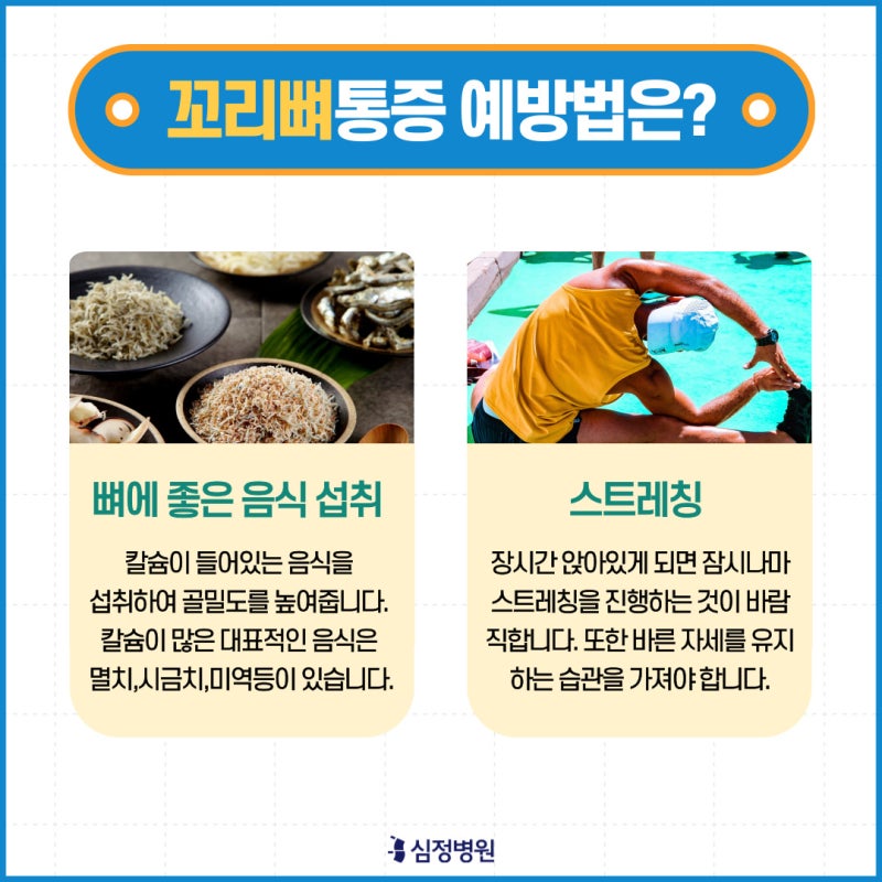 꼬리뼈 통증의 원인 예방법 척추 건강 지키기! 5