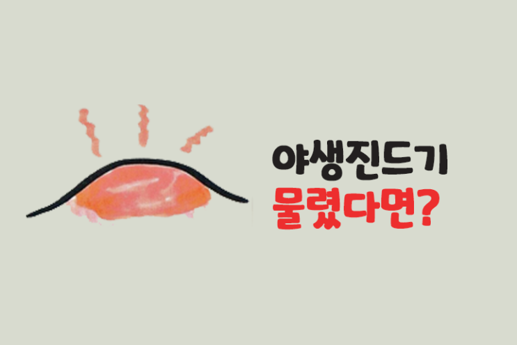  벌레물림 진드기 물렸을때 증상