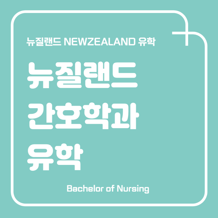  뉴질랜드 유학 / 오클랜드 대학교 간호학과 / 간호학과 유학 / 뉴질랜드 영주권 취득