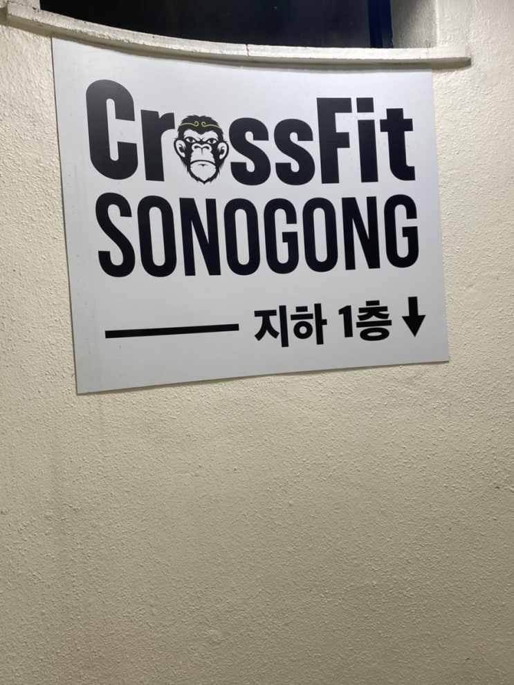  여자 크로스핏 크린이 1일차