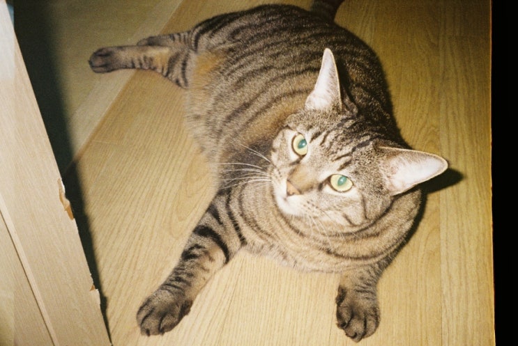  필름카메라 두번째 롤