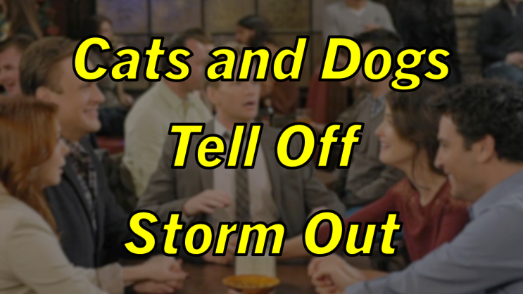 미드 박살내기 87일차: (1) Cats and Dogs (2) Tell Off (3) Storm Out, 무슨 뜻일까? (영어 공부 혼자 하기, 토익 토플 오픽 필수 단어)