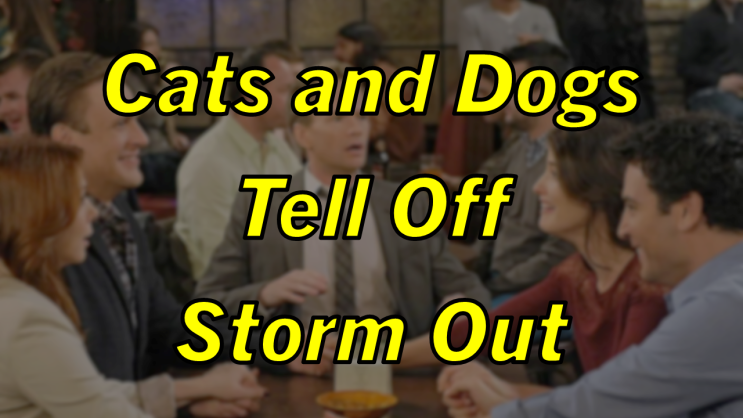  미드 박살내기 87일차: (1) Cats and Dogs (2) Tell Off (3) Storm Out, 무슨 뜻일까? (영어 공부 혼자 하기, 토익 토플 오픽 필수 단어)