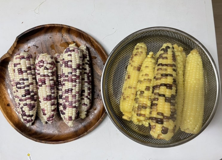  옥수수 삶기 꿀팁 노란 옥수수 삶기 옥수수 노랗게 찌기 옥주부 레시피
