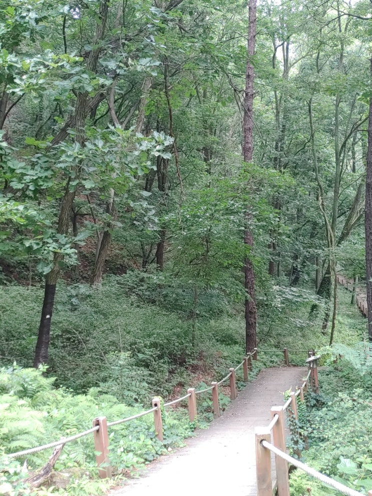 오늘 아침의 설봉산(삼형제바위-오백년송-구암약수)의 모습