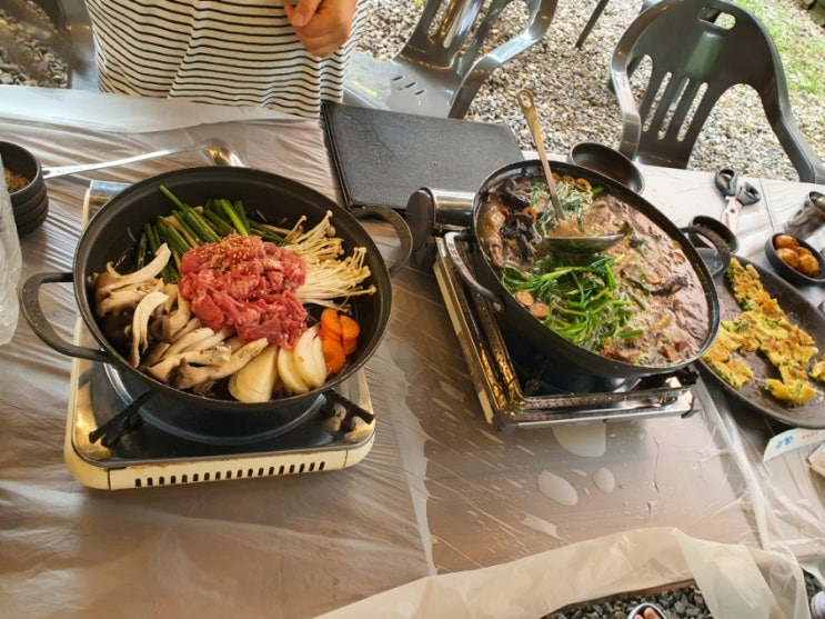  반려견동반 서울근교 장흥펜션 수영장구비