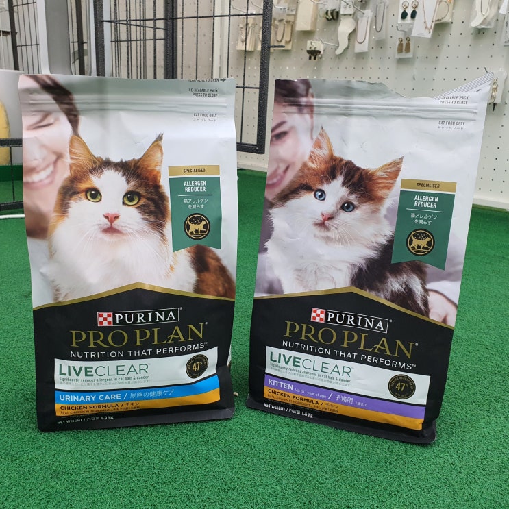  고양이 알레르기 해결 완료, 퓨리나 리브클리어
