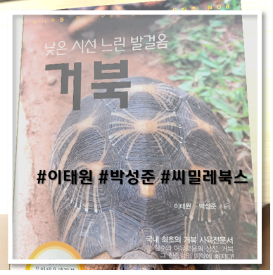  [책 리뷰] 낮은 시선 느린 발걸음 거북
