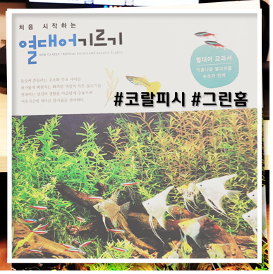  [책 리뷰] 처음 시작하는 열대어 기르기