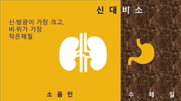  소음인의 체질건강식