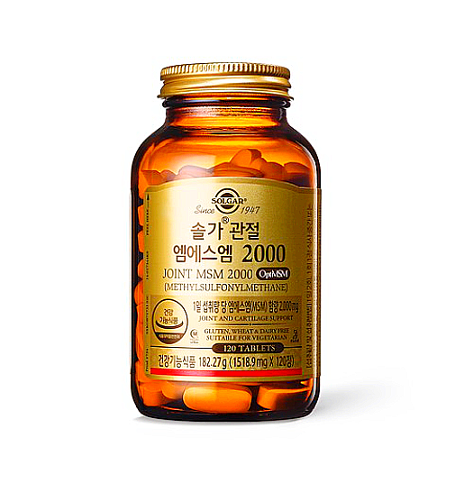 솔가 관절 엠에스엠 MSM 2000