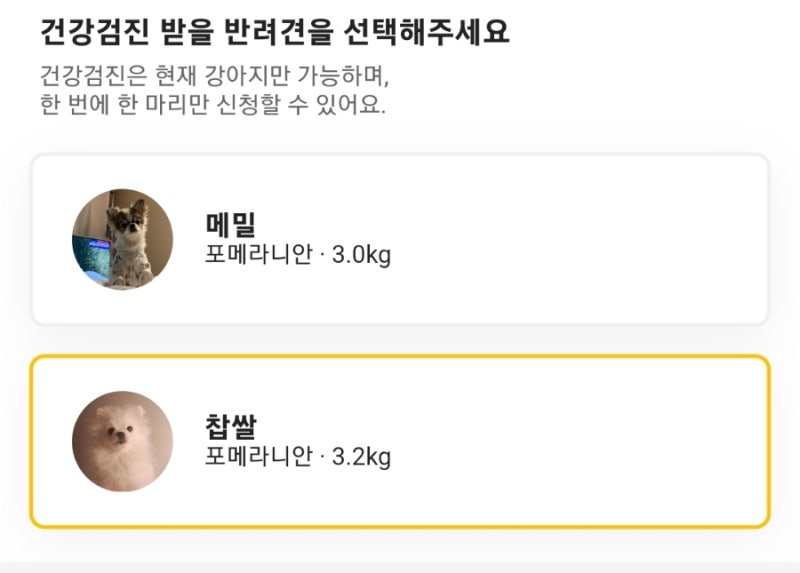 사진 4