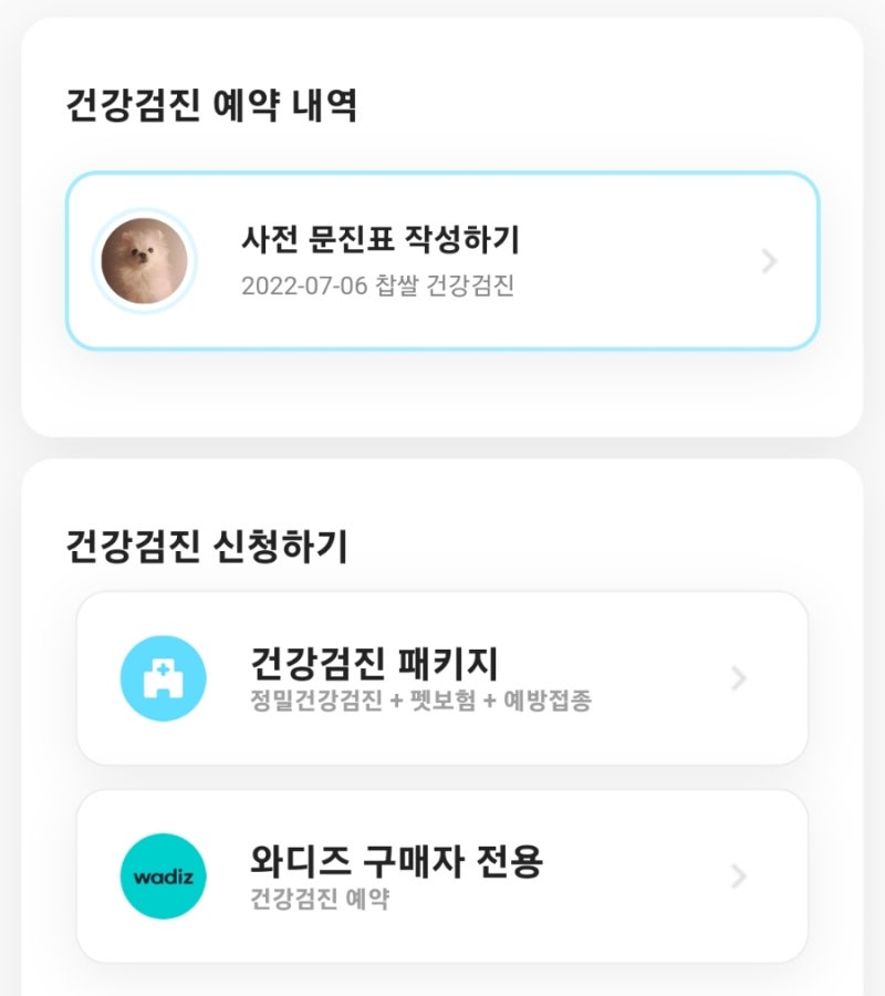 사진 3