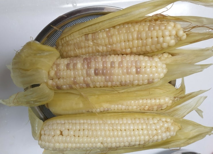  맛있는 찰옥수수 간식으로 최고!!