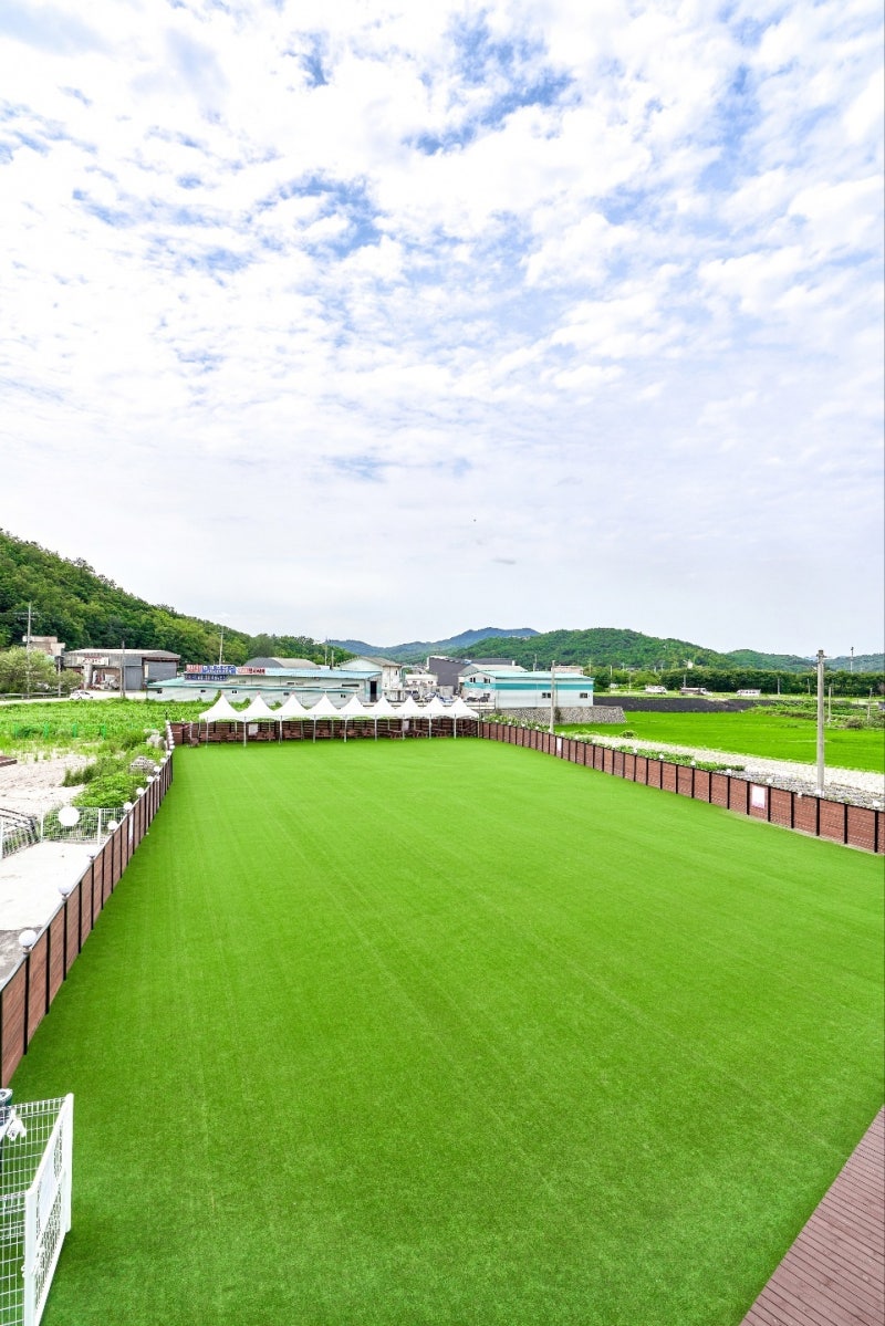 사진 3