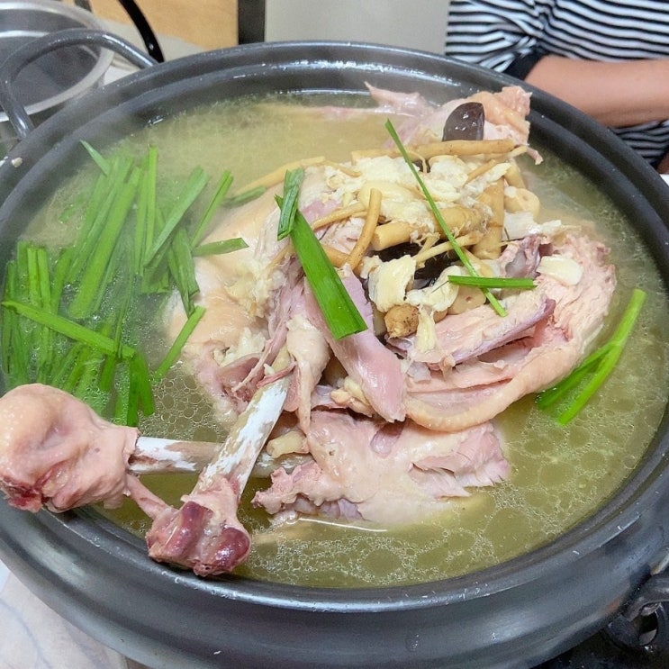 마산 여름철 몸보신 보양식요리 닭백숙 오리불고기 성지[산수야]