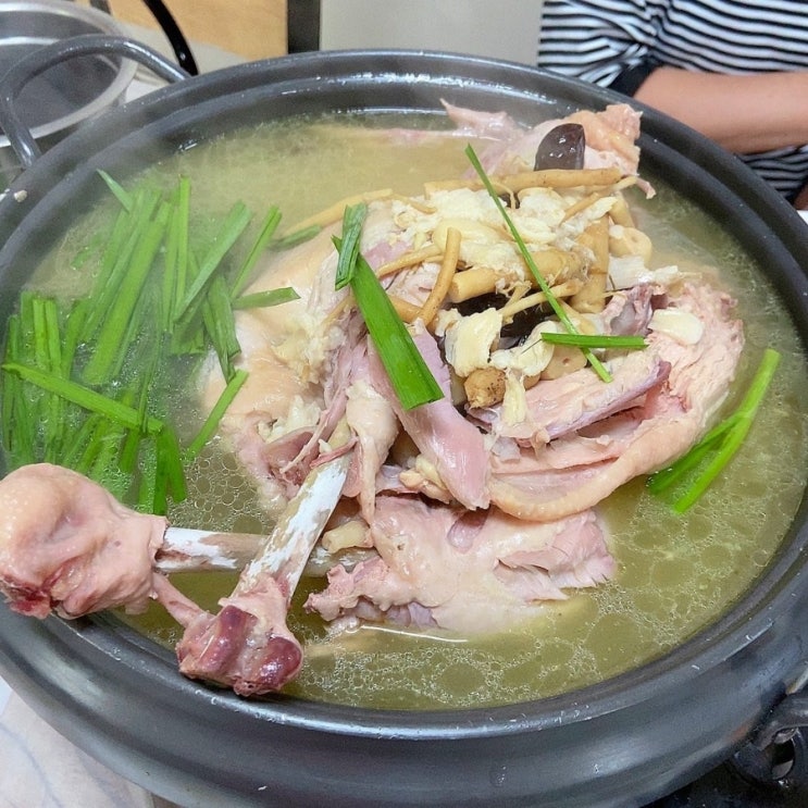  마산 여름철 몸보신 보양식요리 닭백숙 오리불고기 성지[산수야]