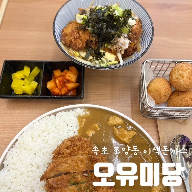  속초 오유미당 /수제 돈까스 /무지개 돈까스 /카레 돈카츠 /돈까스 덮밥
