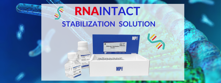 RNAINTACT STABILIZATION SOLUTION (RNA 보존용액)