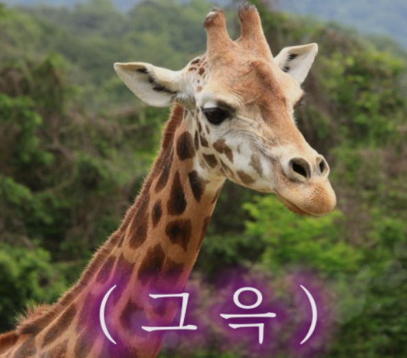  초보자일수록 개수에 집중