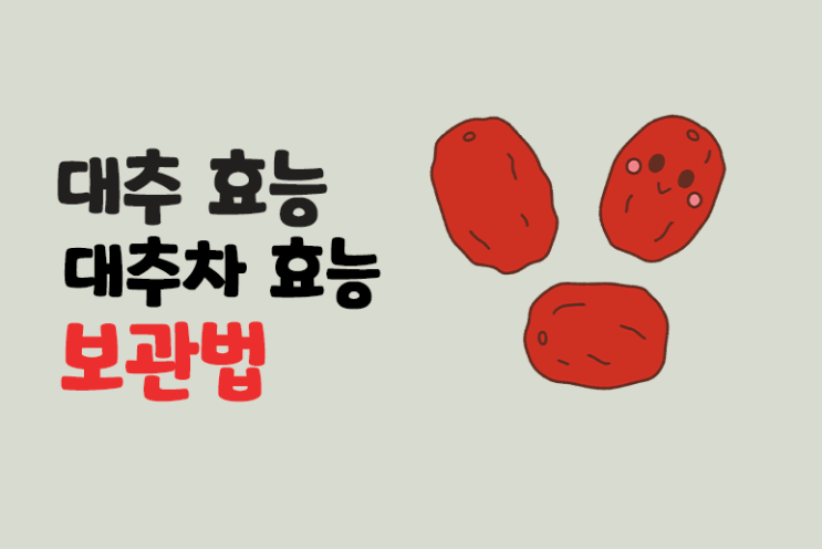  대추효능 대추차 효능 대추 보관법