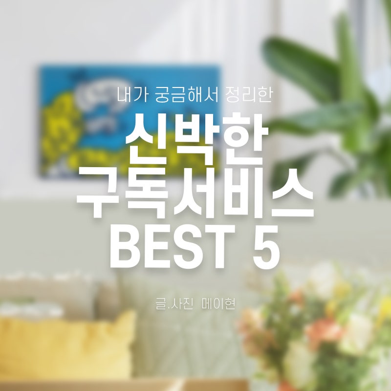 궁금했던 영화의 무덤을 해석한 이야기 궁금했던 영화의 무덤을 해석한 이야기