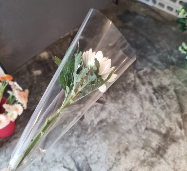 인하대 꽃집 사장님 '국화꽃 나눔'…"어떻게 돈 받고 파나요"
