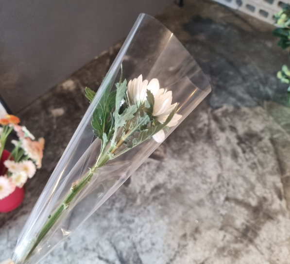 인하대 꽃집 사장님 '국화꽃 나눔'…"어떻게 돈 받고 파나요" 인하대 꽃집 사장님 '국화꽃 나눔'…"어떻게 돈 받고 파나요"